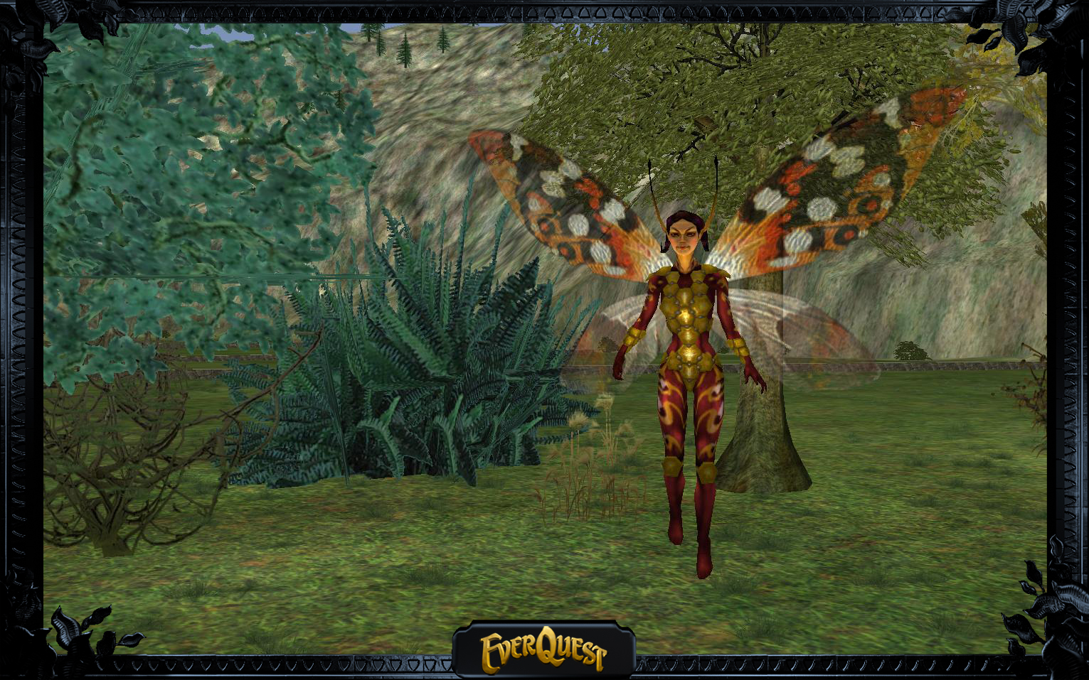 Polymorph Bixie Polymorph Bixie