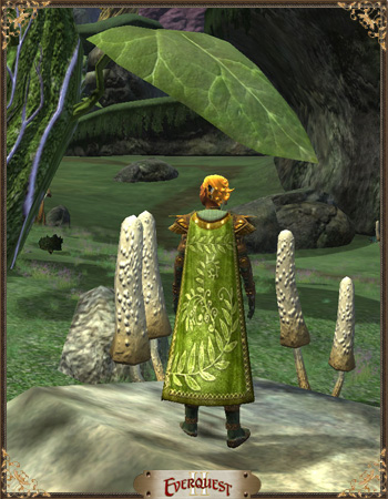 Cloak of Nature Cloak of Nature