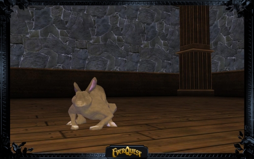 Chocolate Rabbit Chocolate Rabbit