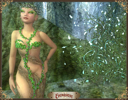 Enchanted Dryad Grotto Enchanted Dryad Grotto