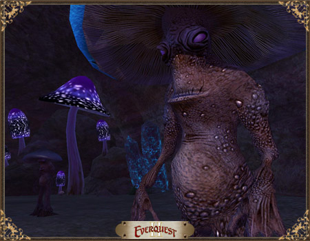 Enchanted Zygomid Grotto Enchanted Zygomid Grotto