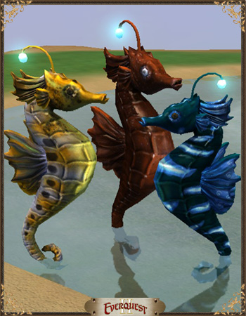Seahorse Bundle Seahorse Bundle