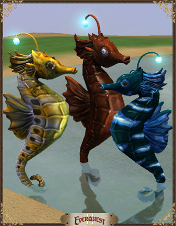 Seahorse Bundle