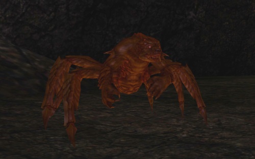 Ursarachnid pic Ursarachnid pic