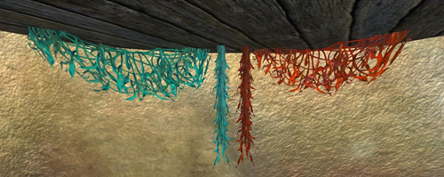 Grotto Plant Bundle Grotto Plant Bundle