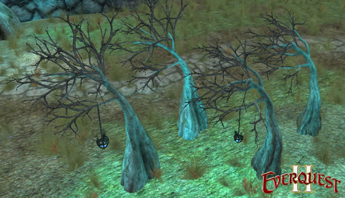 Creepy Cypress Trees Creepy Cypress Trees