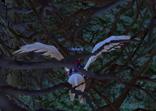 Stellara Woods Stellara Woods