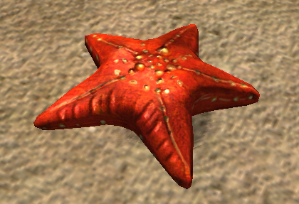 Common Starfish Common Starfish