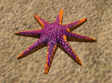 Starburst Starfish