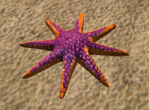 Starburst Starfish Starburst Starfish
