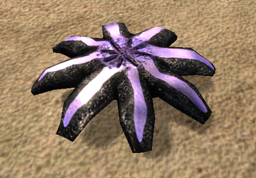 Titanic Starfish Titanic Starfish