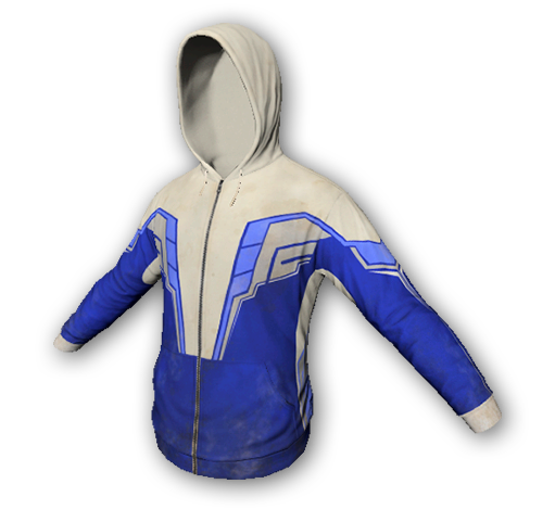 Pro gamer hoodie skin (uncommon)