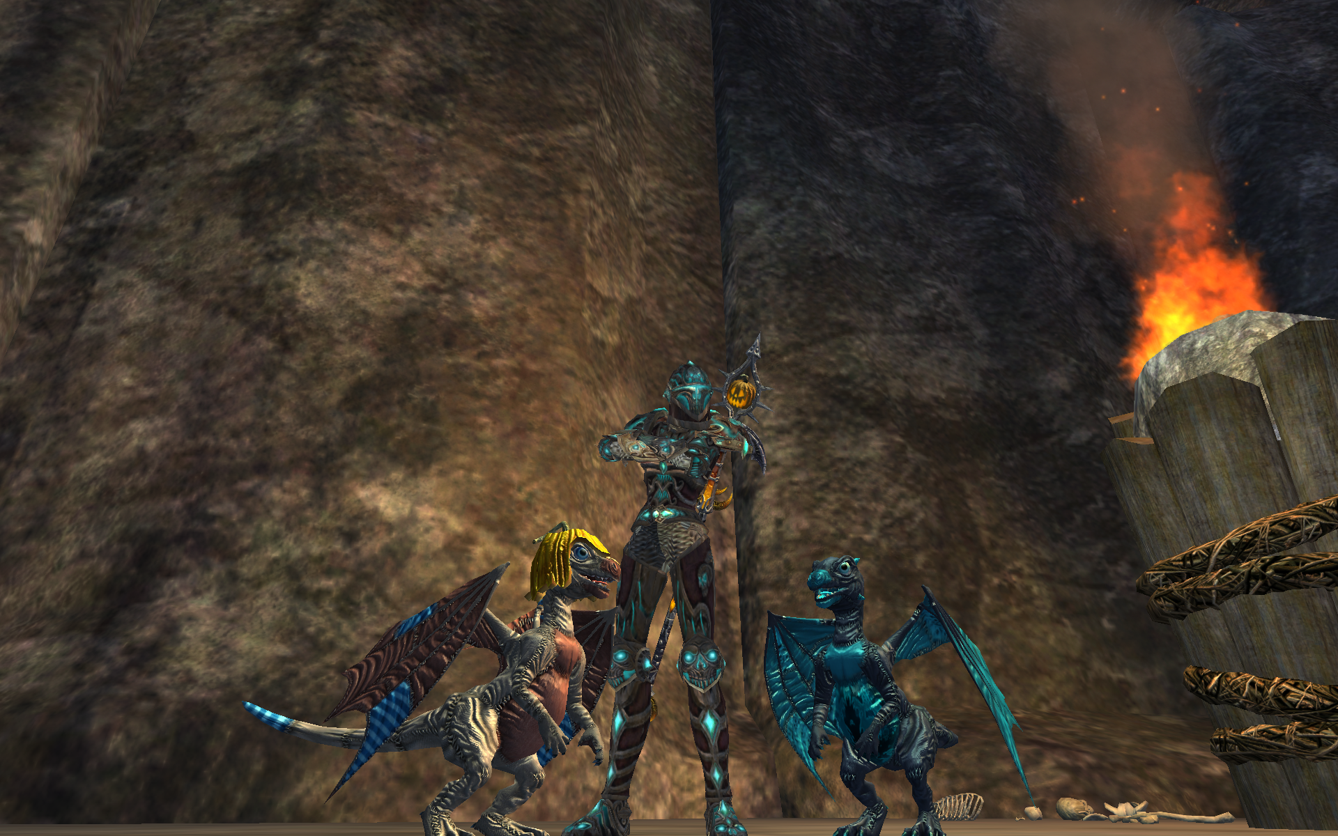 Armor and Burbur Pet