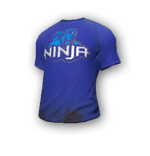 Skin: Ninja's Shirt