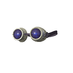 Goggles