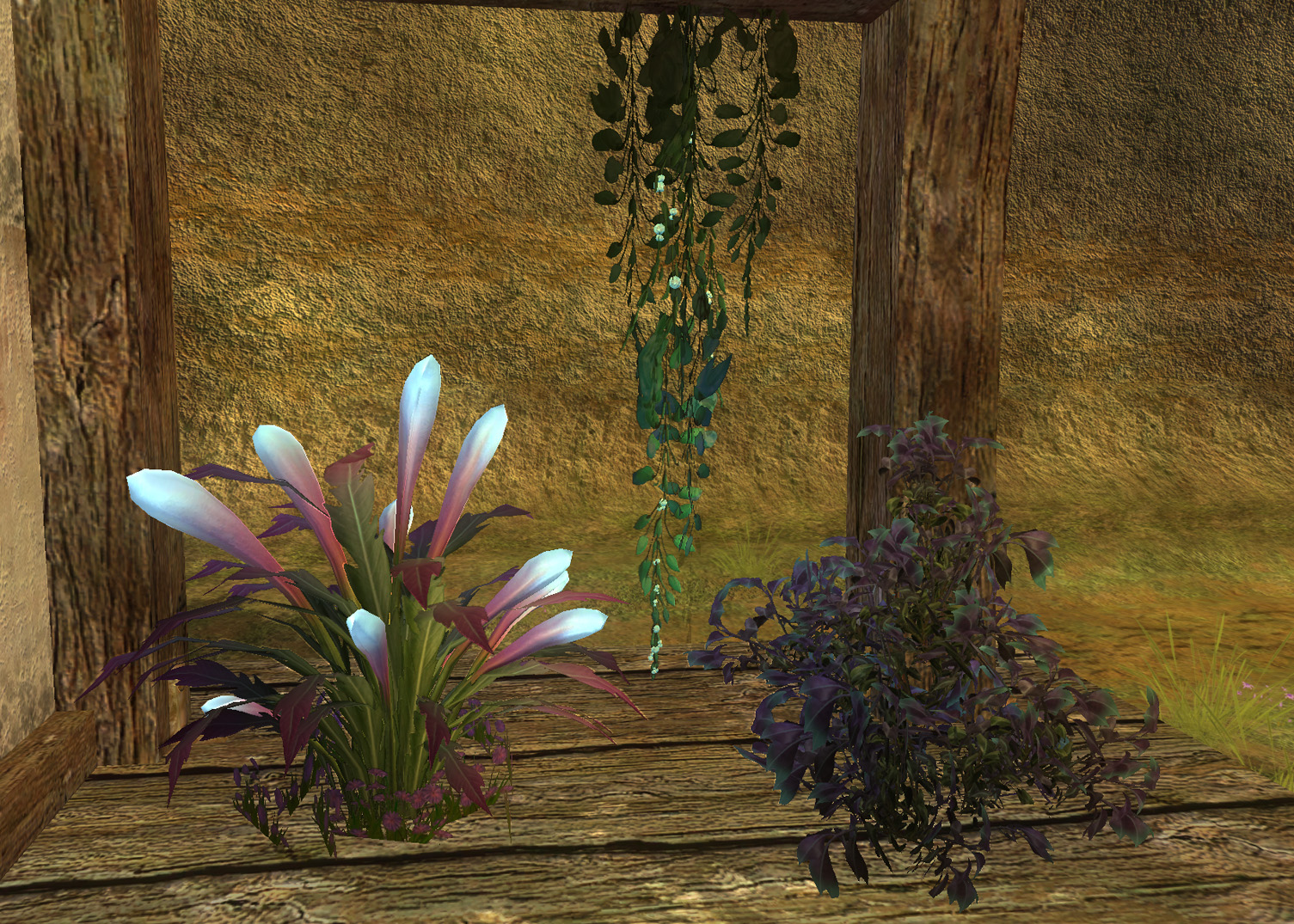 Days of Summer Plants Days of Summer Plants