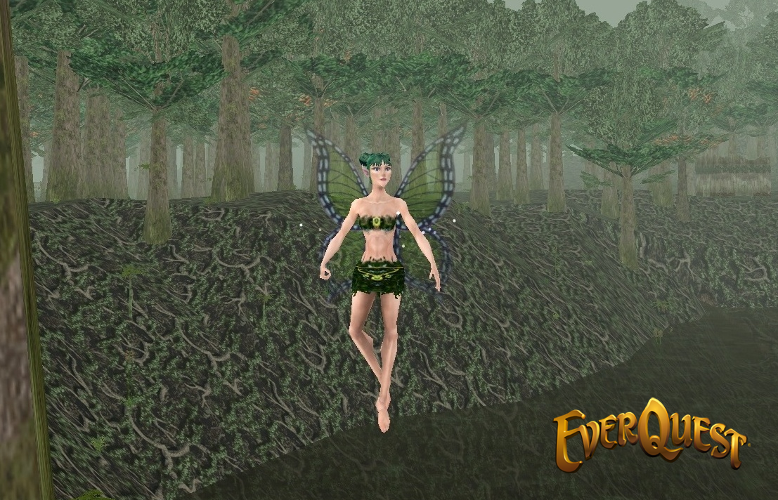 Forest Fairy Illusion Forest Fairy Illusion