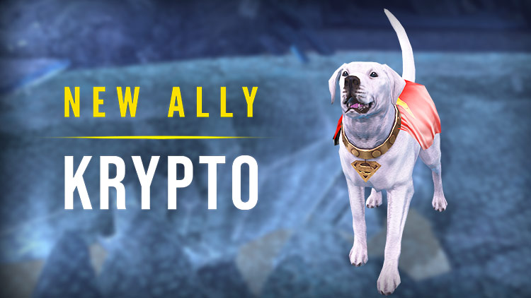 New Ally: Krypto!