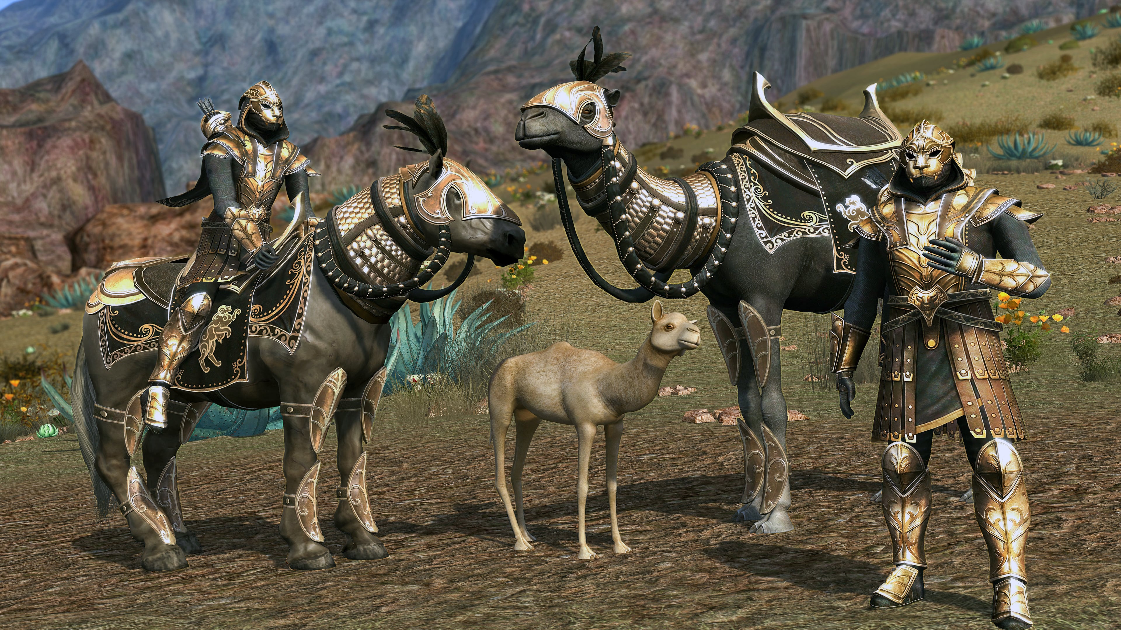 The Lord of the Rings Online
