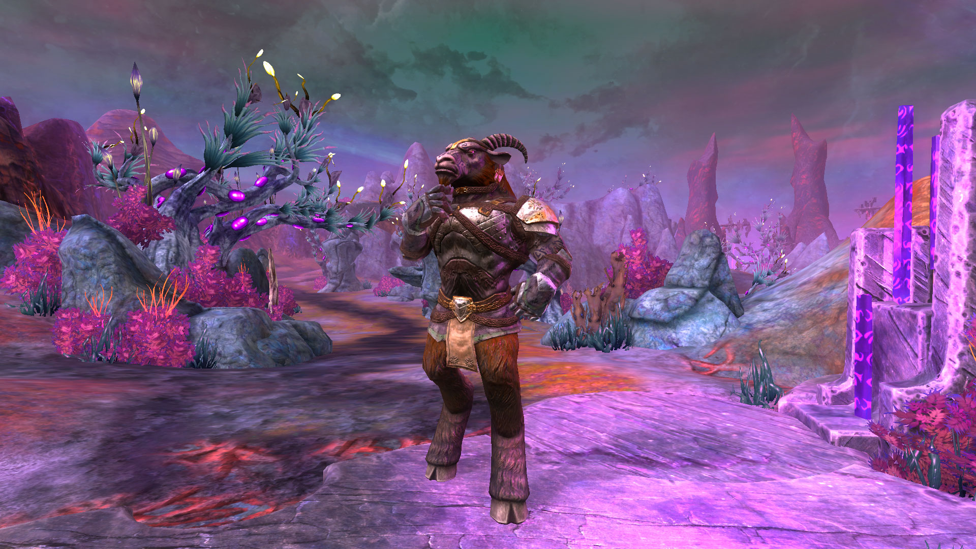 エバークエスト2 コレクターズエディション Expansions | EverQuest II